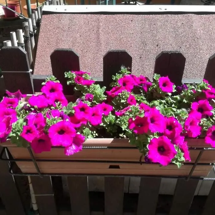 Casa Fiorita Bed and Breakfast Milano 0*,  Italia